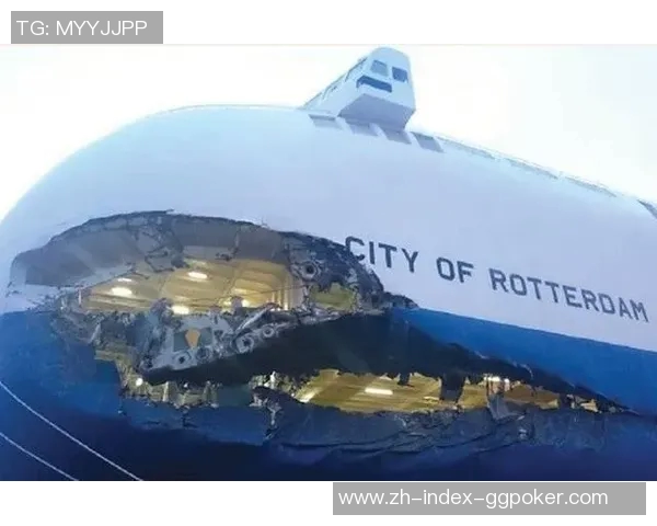 年轻人在贝尔格莱德的探索与成长之旅：文化碰撞与未来展望